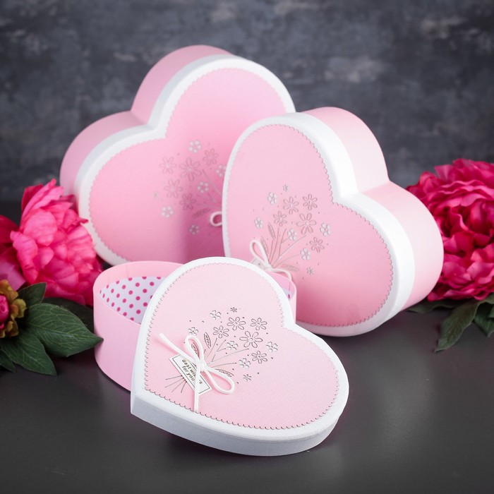 Набор коробок 3в1, 22,2 х 19,5 х 9 - 16,2 х 14,3 х 6 см