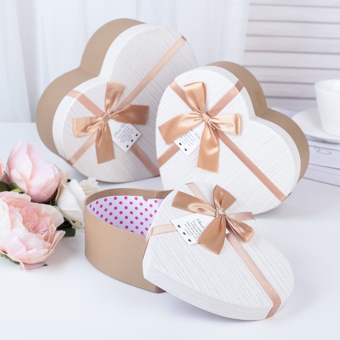 Набор коробок 3в1, 22,2 х 19,5 х 9 - 16,2 х 14,3 х 6 см