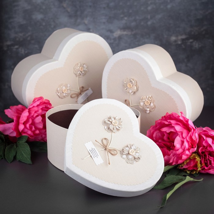 Набор коробок 3в1, 26,3 х 22,5 х 13 - 21,1 х 18,2 х 10 см