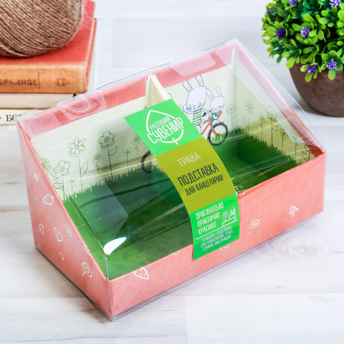 Органайзер-растущий сувенир "Все получится"