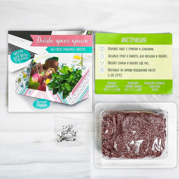 Органайзер-растущий сувенир "Все получится"