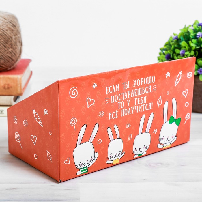 Органайзер-растущий сувенир "Все получится"