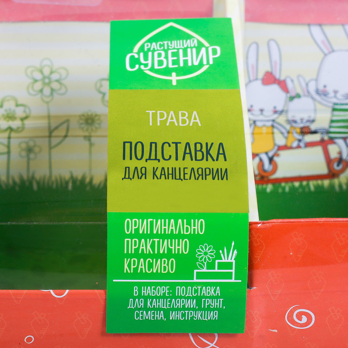 Органайзер-растущий сувенир "Все получится"