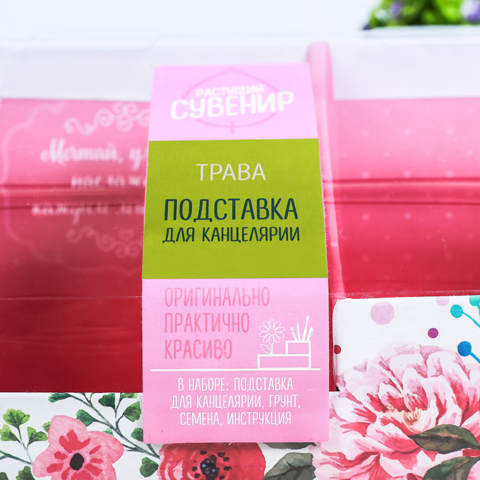 Органайзер-растущий сувенир "Мечтай"