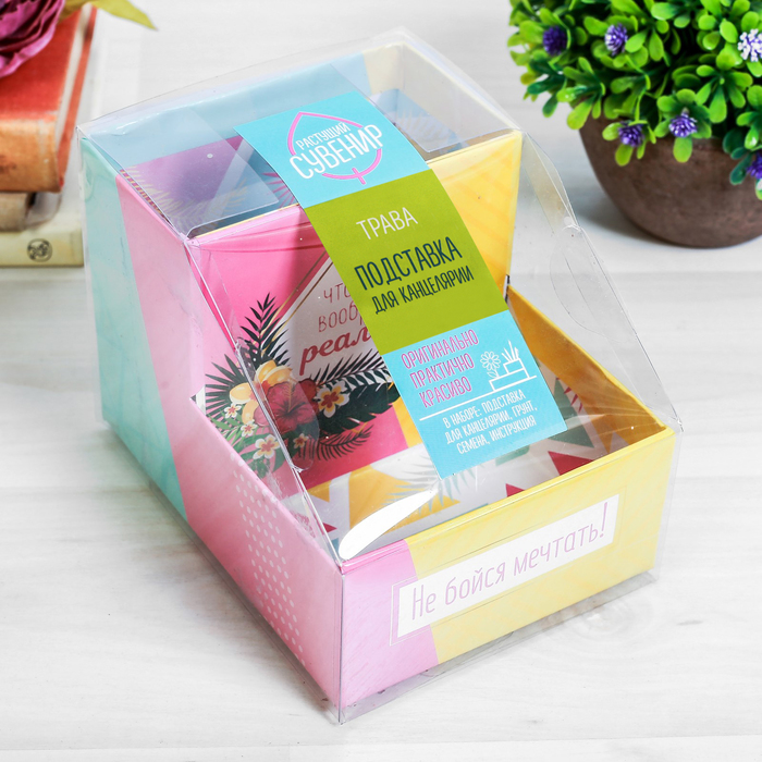 Органайзер-растущий сувенир "Не бойся мечтать"