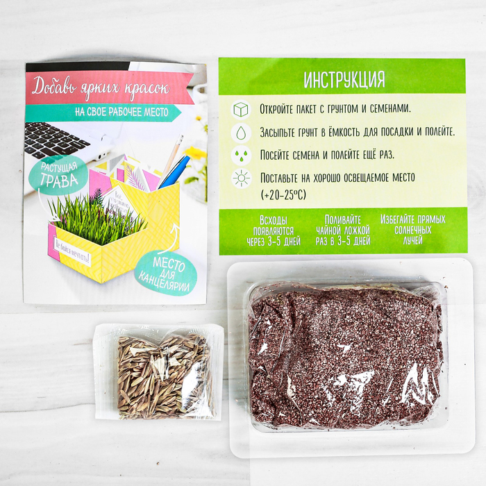 Органайзер-растущий сувенир "Не бойся мечтать"