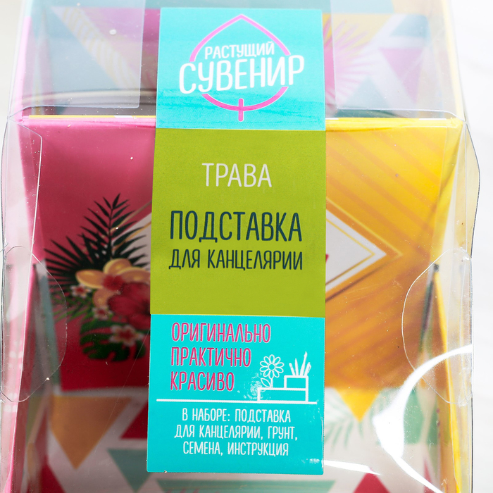 Органайзер-растущий сувенир "Не бойся мечтать"