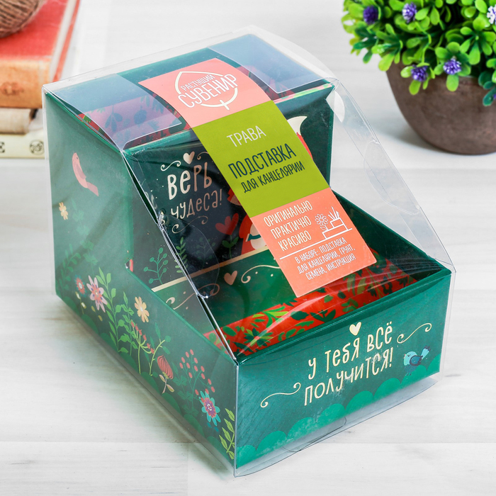 Органайзер-растущий сувенир "У тебя все получится"