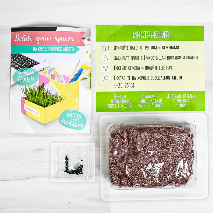 Органайзер-растущий сувенир "У тебя все получится"