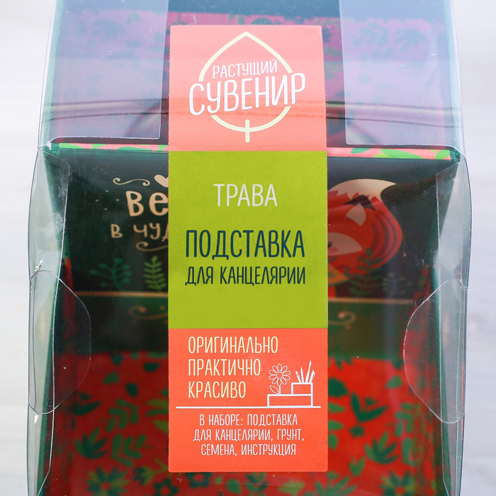 Органайзер-растущий сувенир "У тебя все получится"