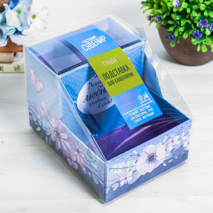 Органайзер-растущий сувенир "Следуй за мечтой"