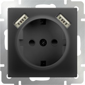 Розетка с заземлением, шторками и USBх2  WL08-SKGS-USBx2-IP20, цвет черный