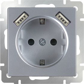 Розетка с заземлением, шторками и USBх2  WL06-SKGS-USBx2-IP20, цвет серебряный