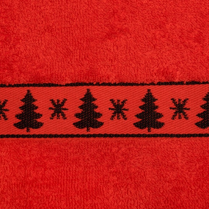 Набор махровых полотенец "Winter" 30х70 см - 2 шт, 100% хлопок, 370 гр/м2