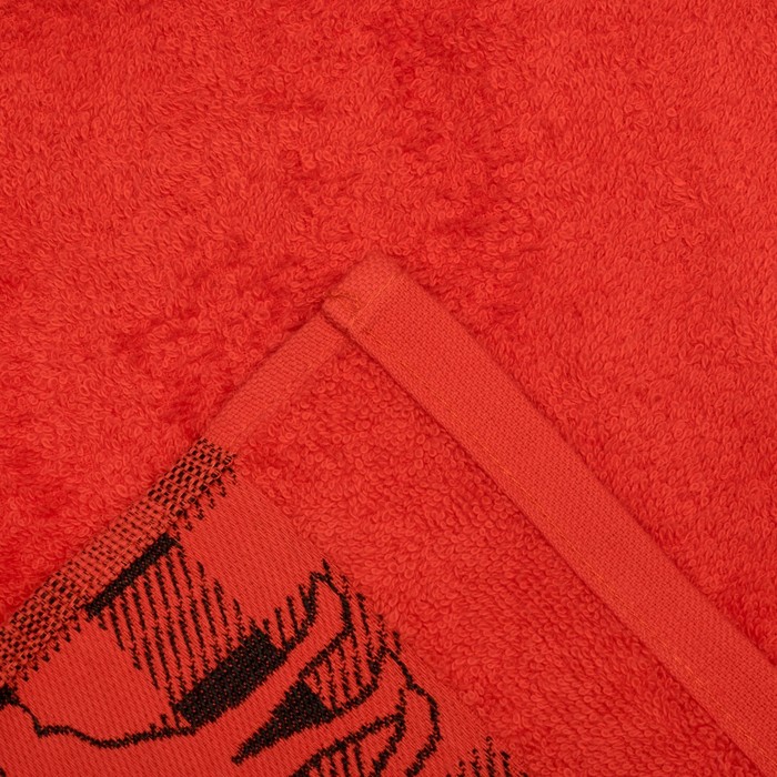 Набор махровых полотенец "Winter" 30х70 см - 2 шт, 100% хлопок, 370 гр/м2