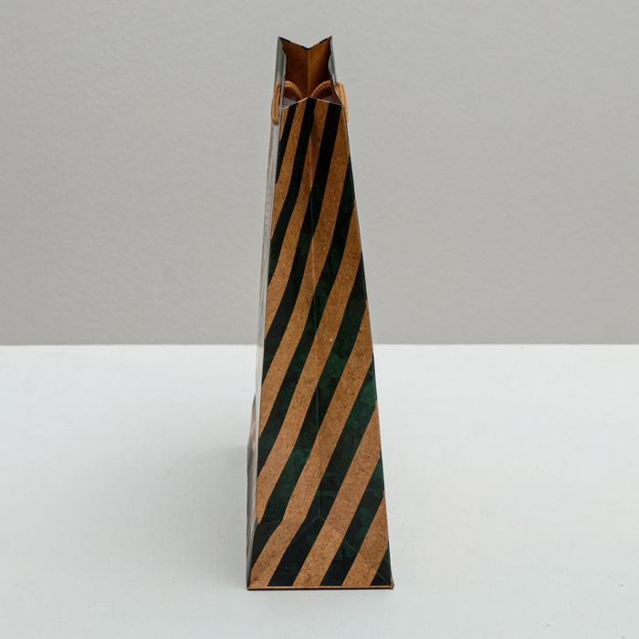 Пакет ламинированный вертикальный «Почетному герою», 23 × 27 × 8 см