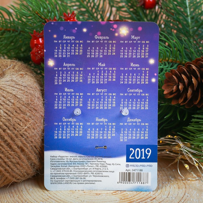 Набор "Радости", значок, серёжки