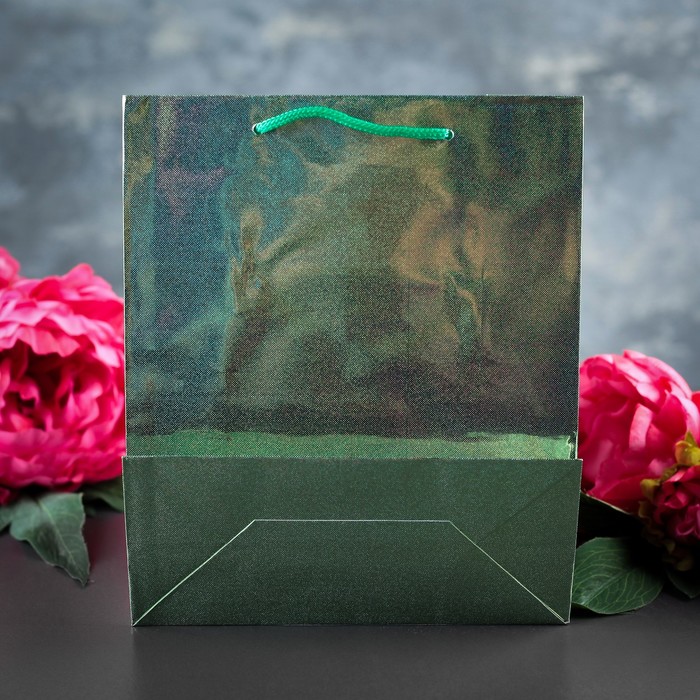 Пакет голография 18 х 21,5 х 8 см