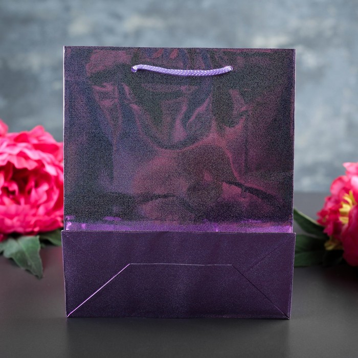 Пакет голография 18 х 21,5 х 8 см