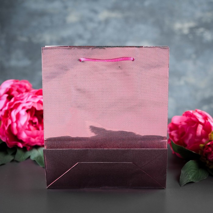 Пакет голография 18 х 21,5 х 8 см