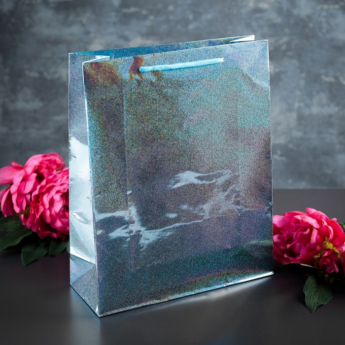 Пакет голография 26 х 32 х 10 см