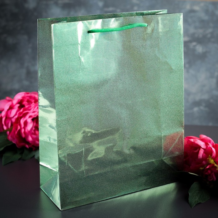 Пакет голография 26 х 32 х 10 см