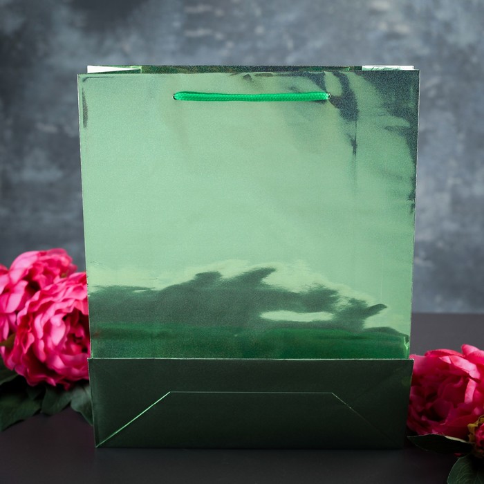 Пакет голография 26 х 32 х 10 см