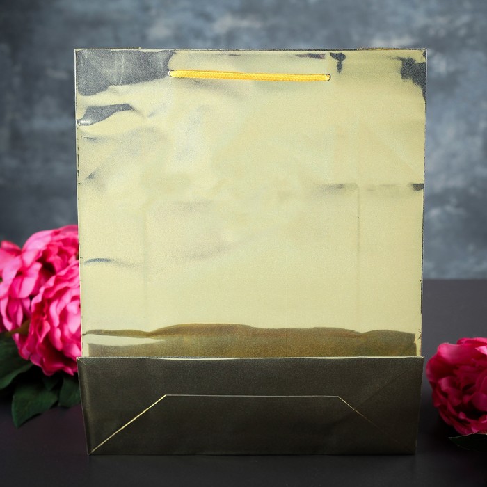 Пакет голография 26 х 32 х 10 см