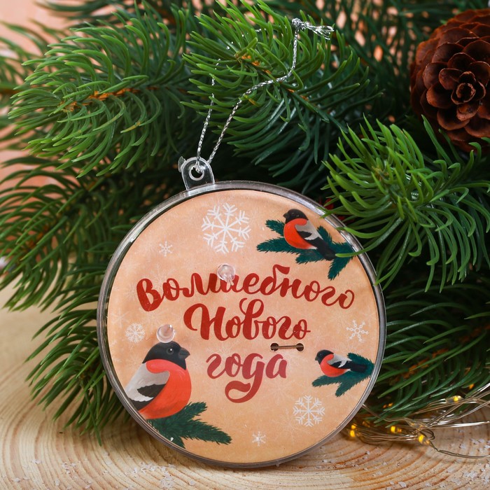 Набор украшений в шаре "Снегирь", серёжки, значок, 7 см