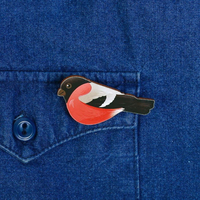 Набор украшений в шаре "Снегирь", серёжки, значок, 7 см