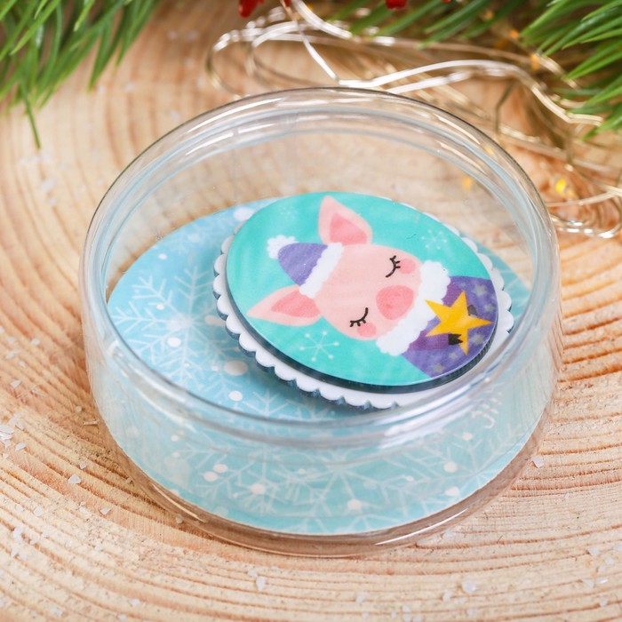 Значок акриловый в тубусе "Поросёнок"