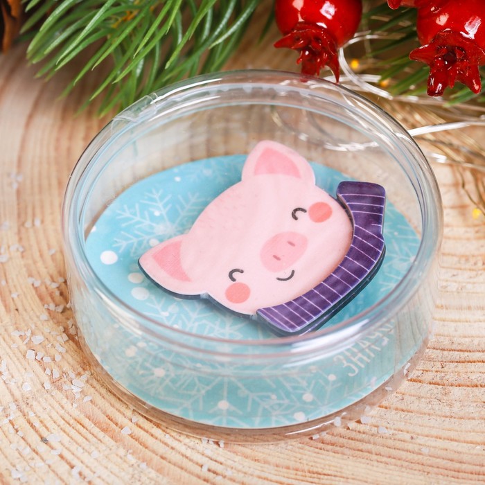 Значок акриловый в тубусе "Поросёнок"