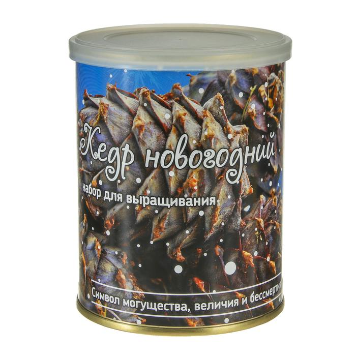 Растущая травка "Растение в банке "Кедр новогодний"