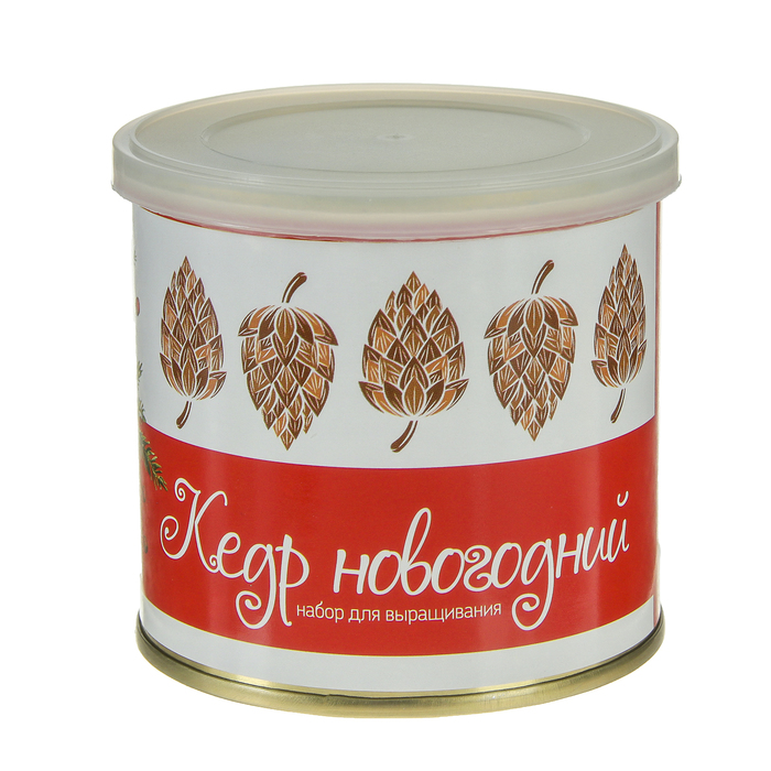 Растущая травка "Мини растение в банке "Кедр - С Новым годом! Снеговик"