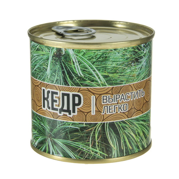 Растущая травка "Мини-дерево в банке "Кедр"