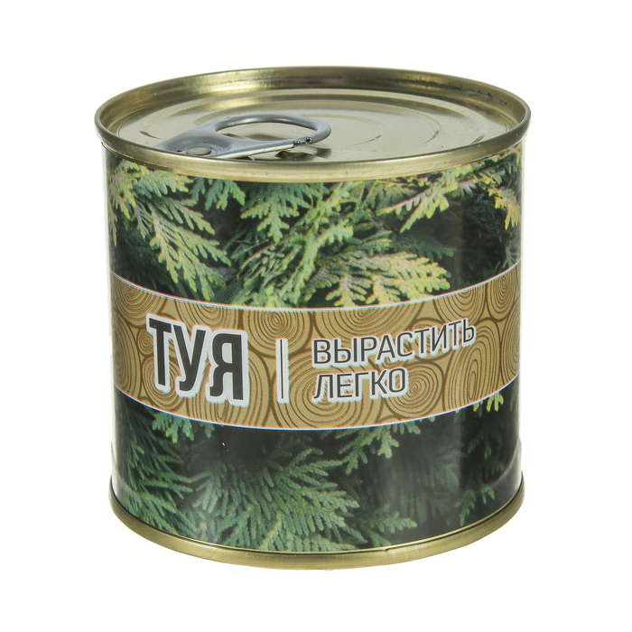 Растущая травка "Мини-дерево в банке "Туя"