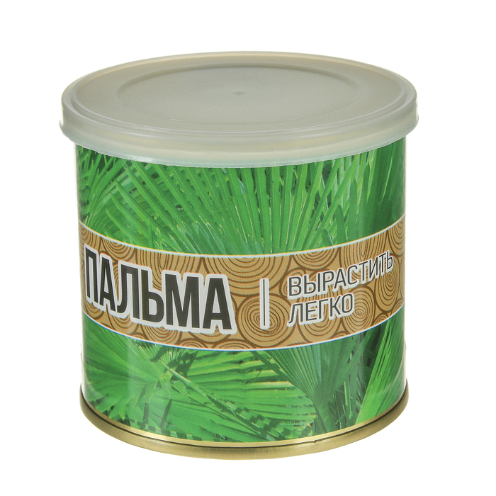 Растущая травка "Мини-дерево в банке "Пальма"