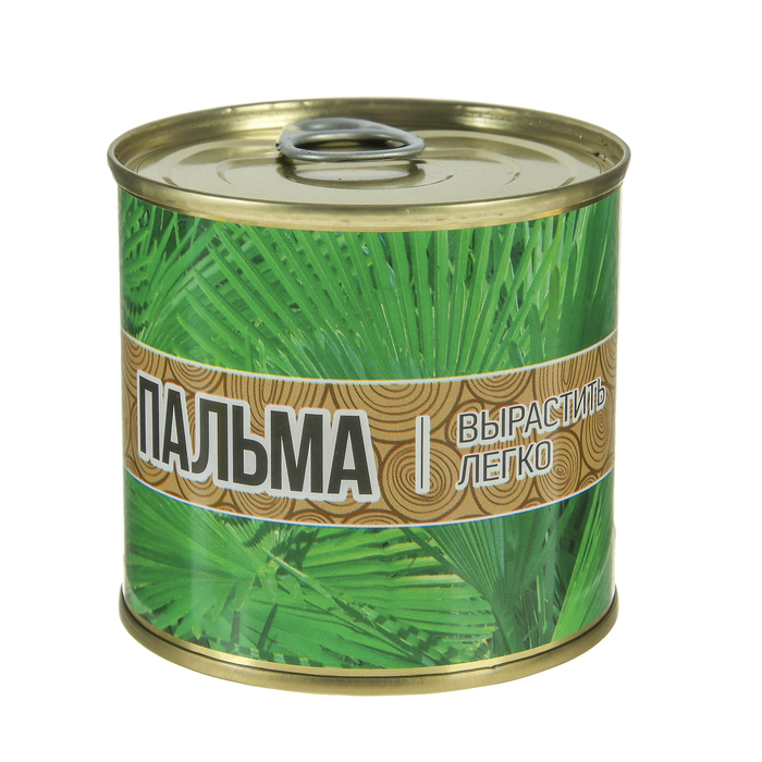 Растущая травка "Мини-дерево в банке "Пальма"