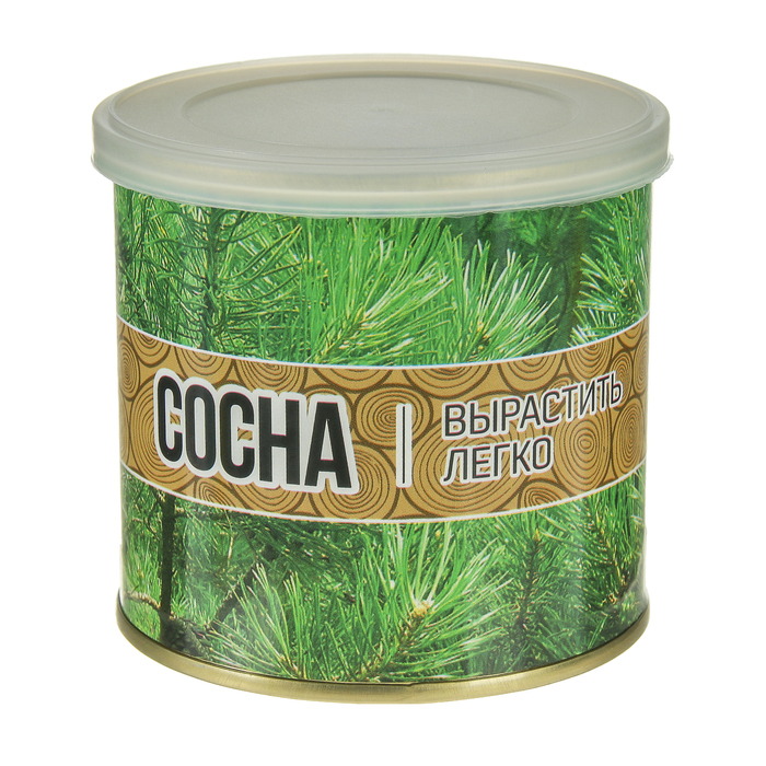 Растущая травка "Мини-дерево в банке "Сосна"