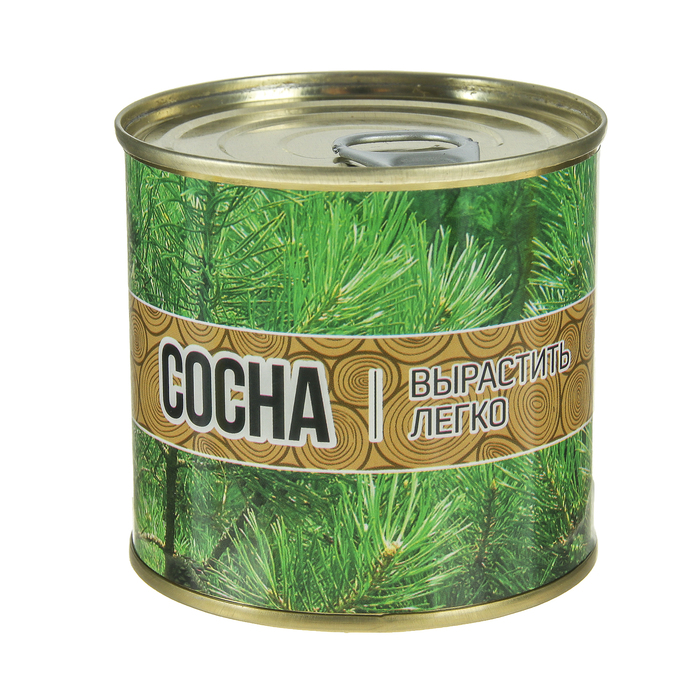 Растущая травка "Мини-дерево в банке "Сосна"