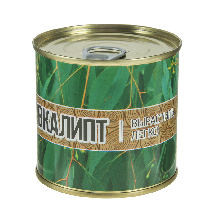 Растущая травка "Мини-дерево в банке "Эвкалипт"