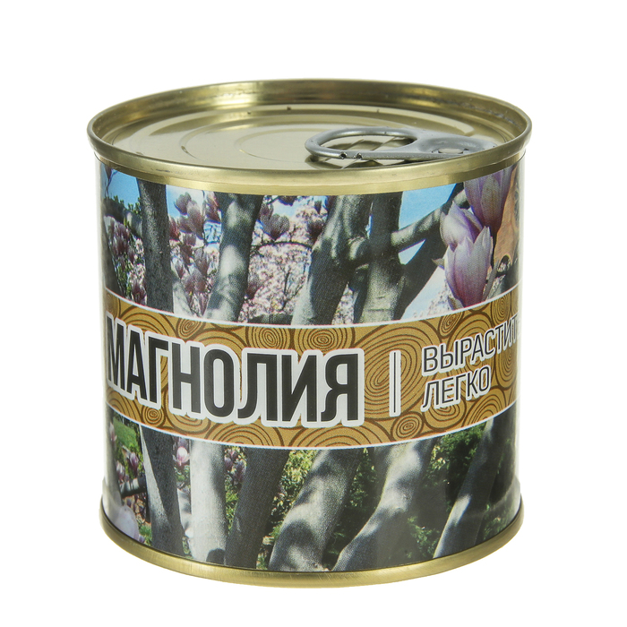 Растущая травка "Мини-дерево в банке "Магнолия"