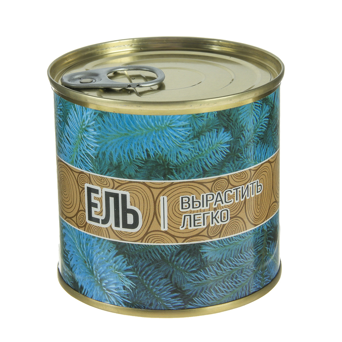 Растущая травка "Мини-дерево в банке "Ель"