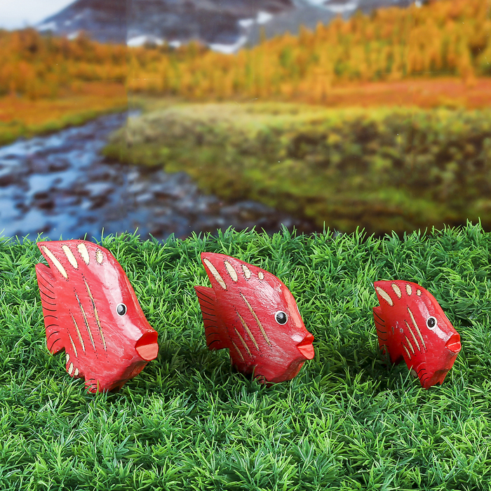 Набор сувенирный "Рыбки" красный 14х8х10 см