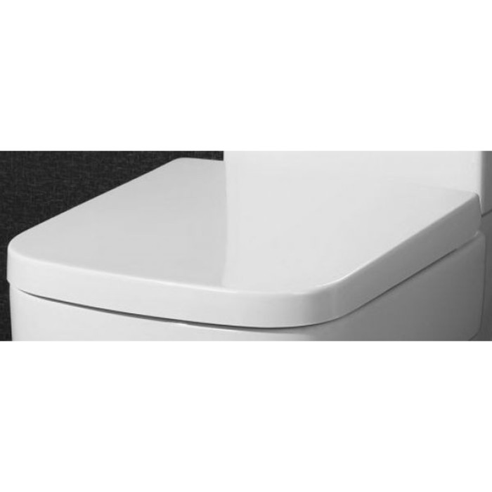 Сидение BelBagno JANICE BB124SC, дюропласт, металическое крепление, soft close