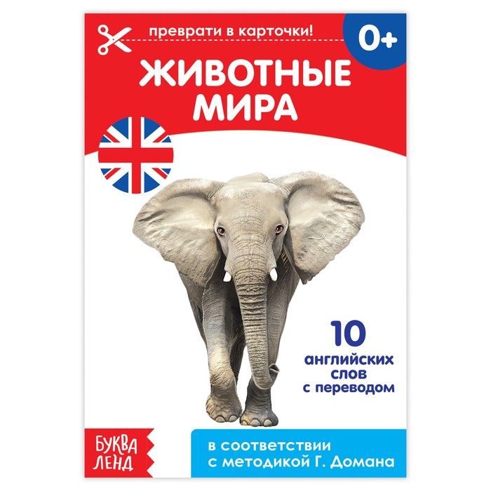 Обучающая книга по методике Г. Домана "Животные мира. Английский язык"  24 стр.