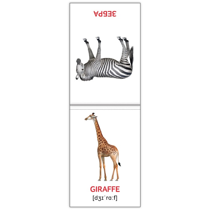 Обучающая книга по методике Г. Домана "Животные мира. Английский язык" 24 стр.