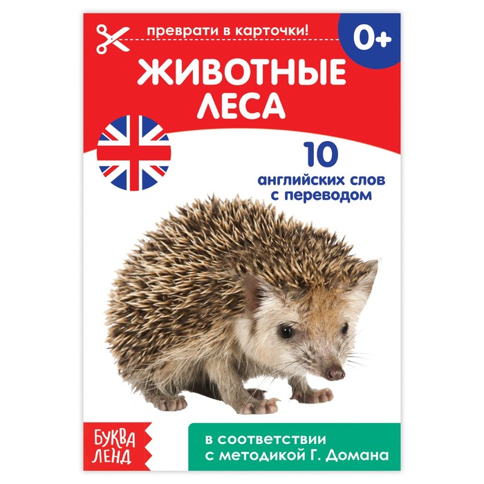 Обучающая книга по методике Г. Домана "Животные леса. Английский язык"  24 стр.