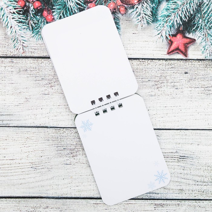 Набор "Денежного года", брелок, блокнот 20 л.