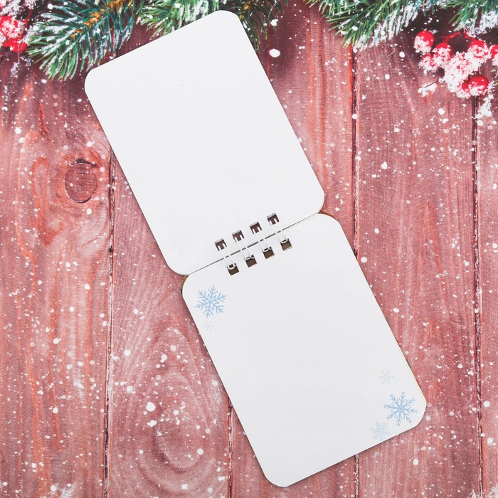 Набор "Тому, кто верит в Деда Мороза", брелок, блокнот 20 л.